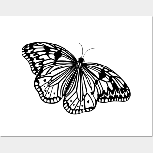 Paper Kite Butterfly - on light colors Posters and Art